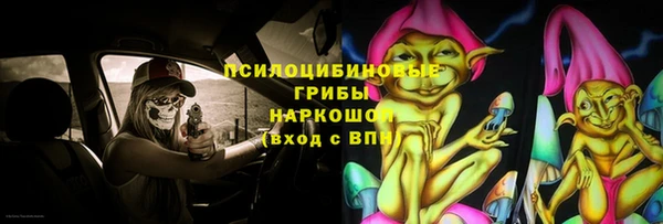 СК Магас