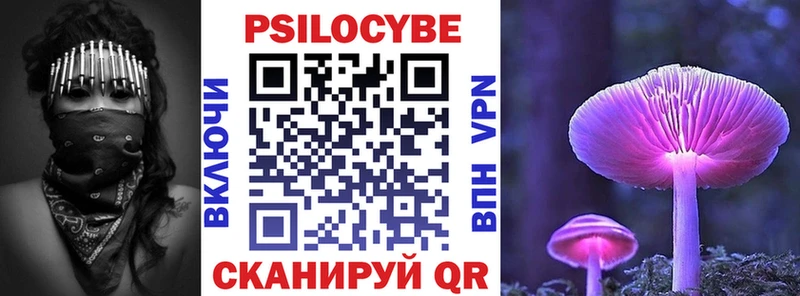 Псилоцибиновые грибы Magic Shrooms  Купить  Курганинск 