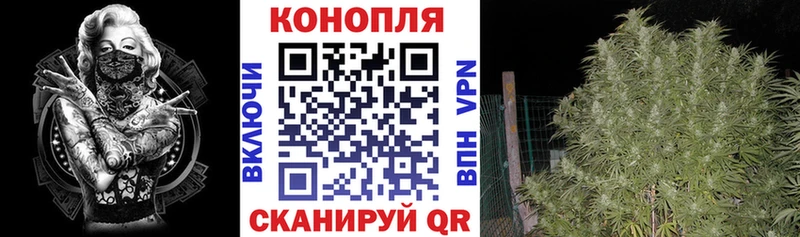 Марихуана VHQ  Купить закладки  Курганинск 